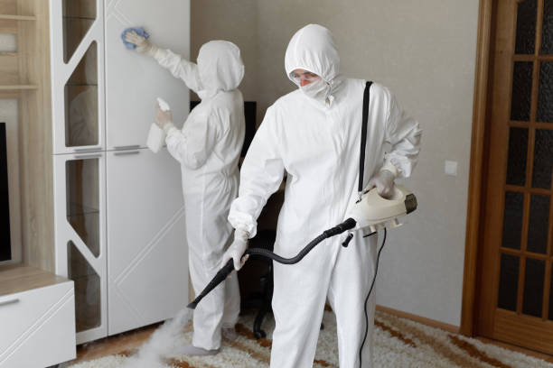 Trusted Sewage Cleanup service in Titusville, NJ - Four Month Blood Cleanse